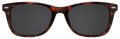 Tortoise Wayfarer