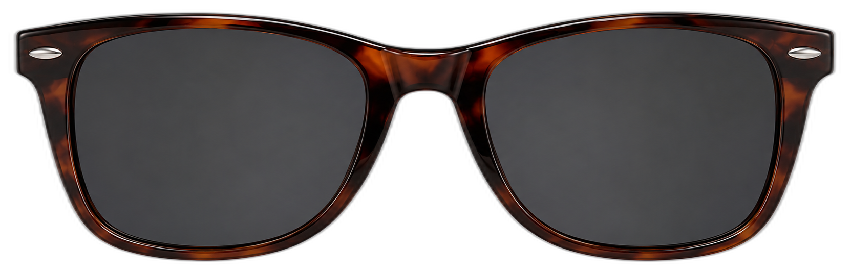 Tortoise Wayfarer